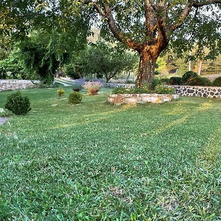 Bujtina Bezhani Gjinar Elbasan