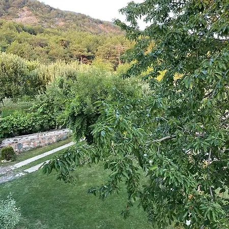 Bujtina Bezhani Gjinar *