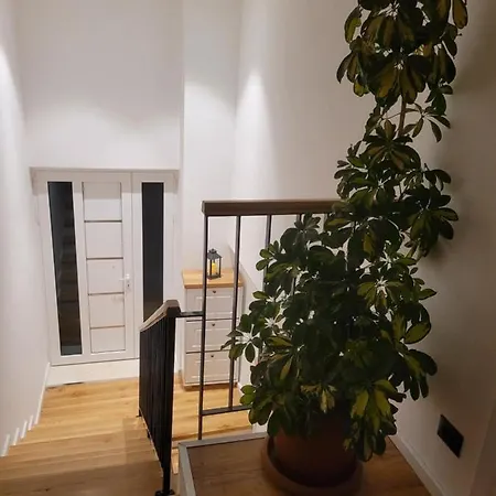 Bujtina Bezhani Gjinar Эльбасан