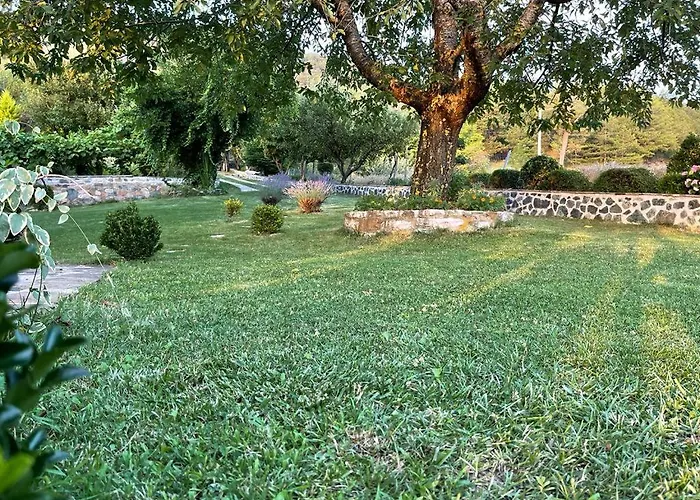 Bujtina Bezhani Gjinar Elbasan