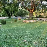 Bujtina Bezhani Gjinar エルバサン