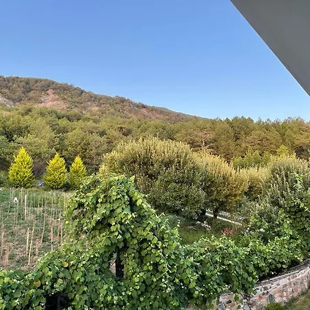 Bujtina Bezhani Gjinar *